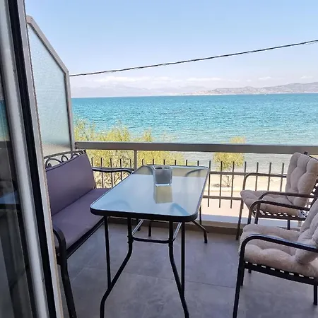 Sea Front Apartament *